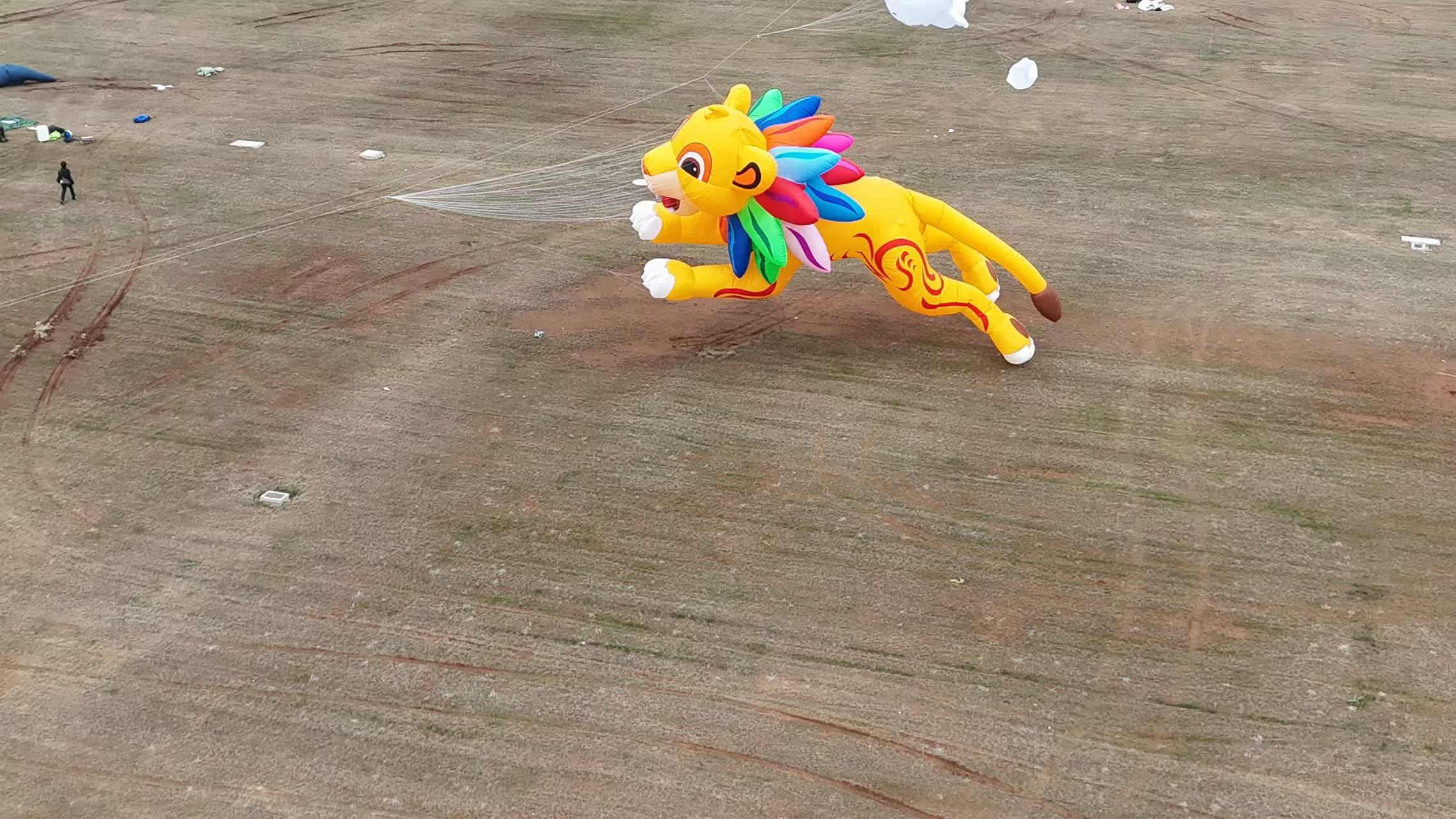 六盘水市品牌风筝定制风筝制作 - 排名