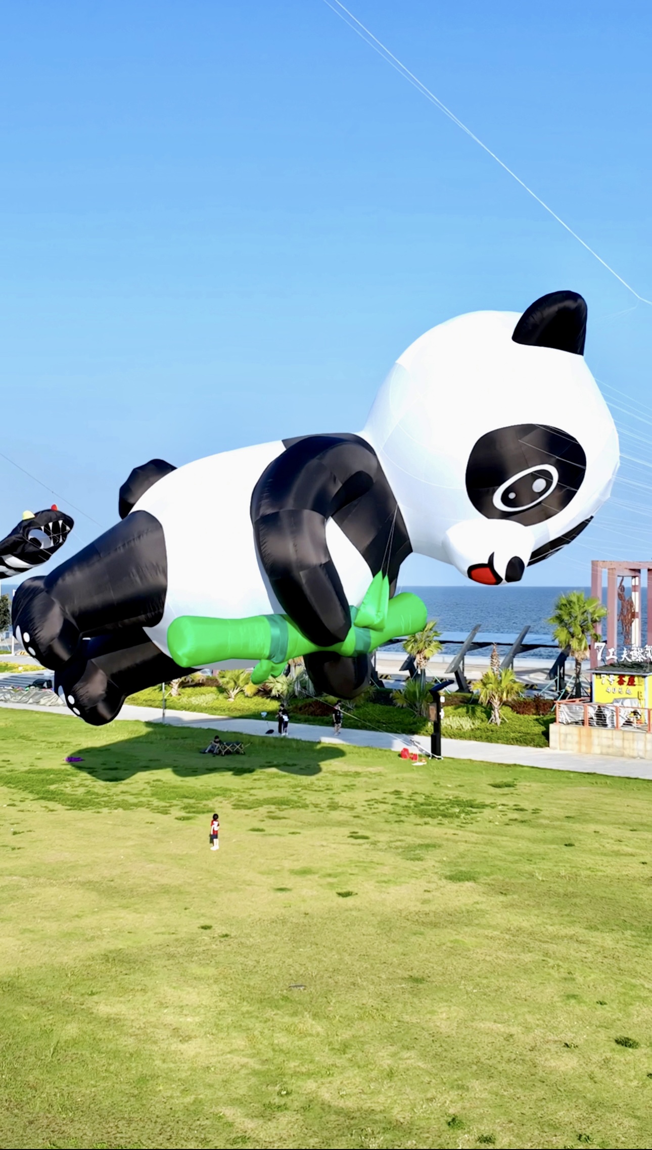 六盘水市风筝批发风筝放飞活动策划 - 排名