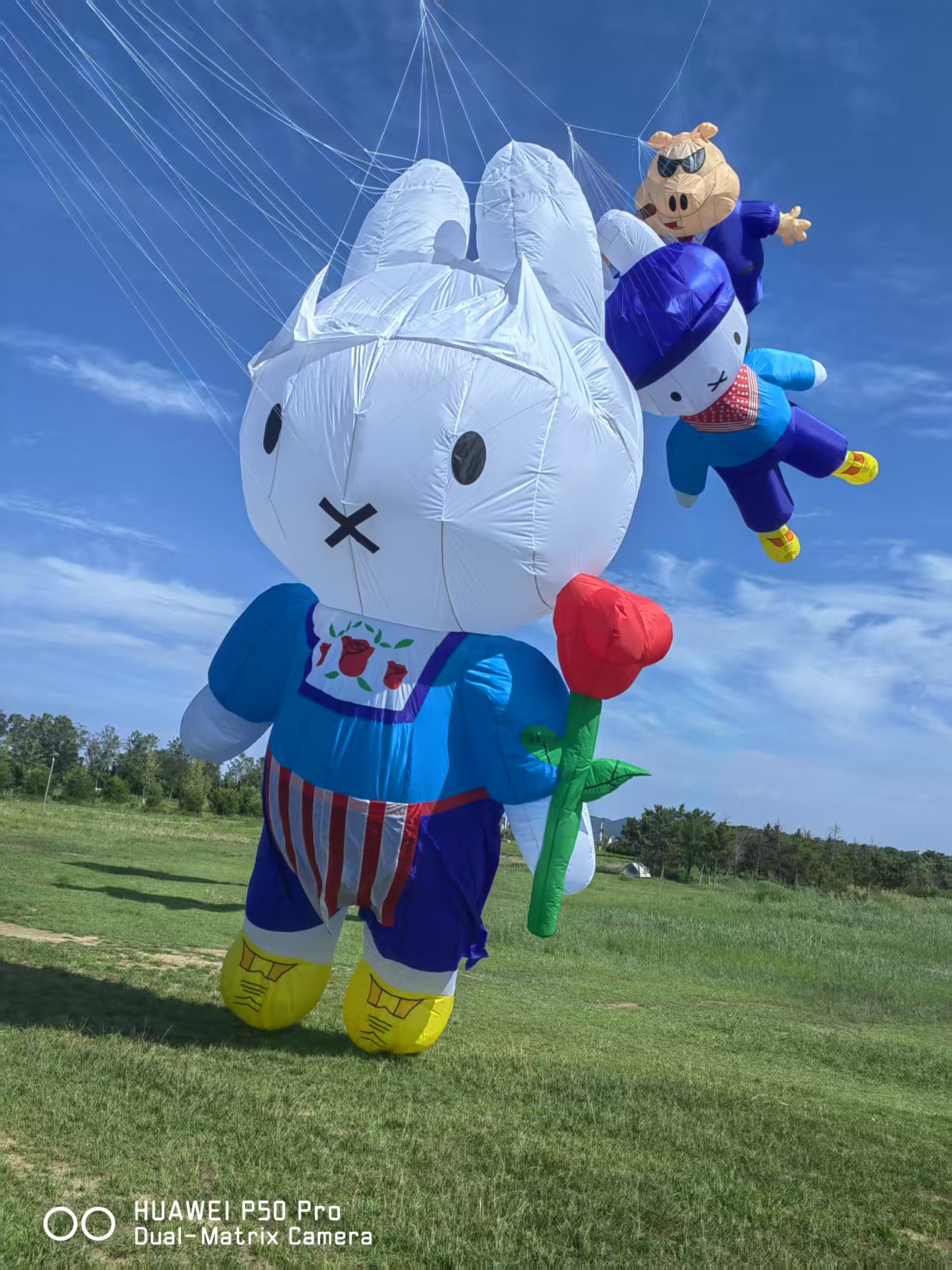 六盘水市儿童风筝定制风筝放飞活动策划 - 排名